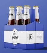 6 Inserts Carrier Boxes