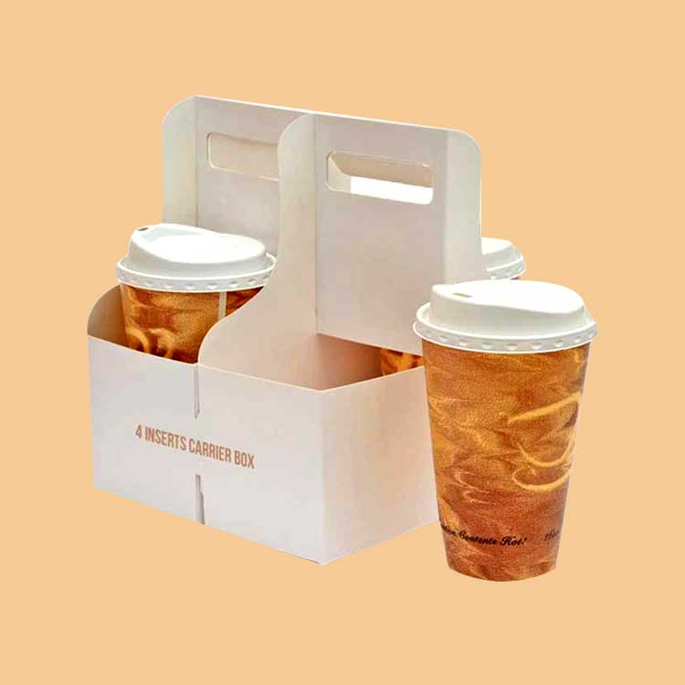 4-inserts-carrier-boxes1