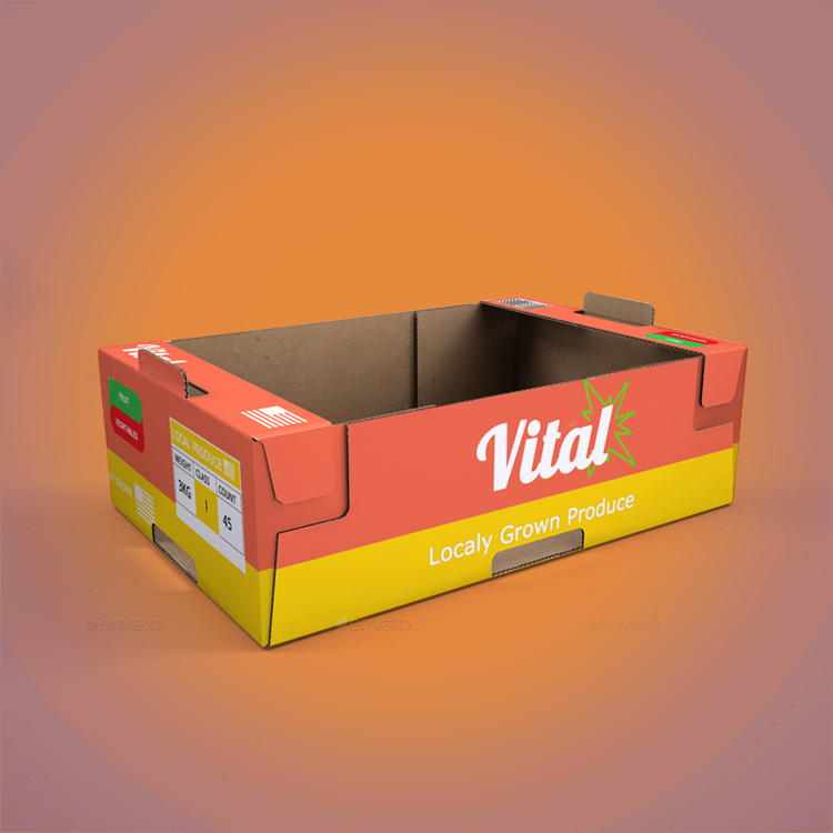 Pinch-Lock-Tray-Boxes