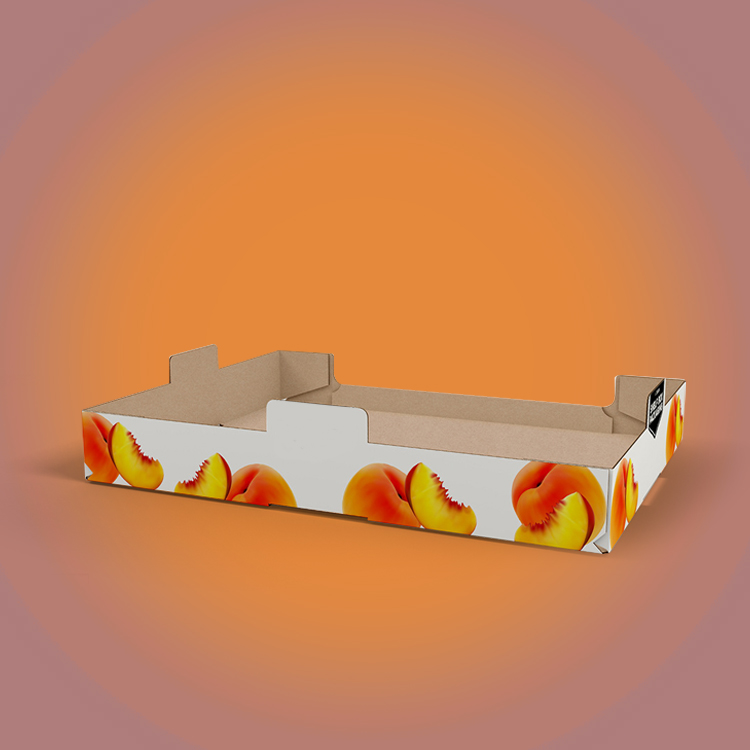 Pinch-Lock-Tray-Boxes1