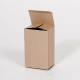 Reverse-Tuck-End-Boxes2